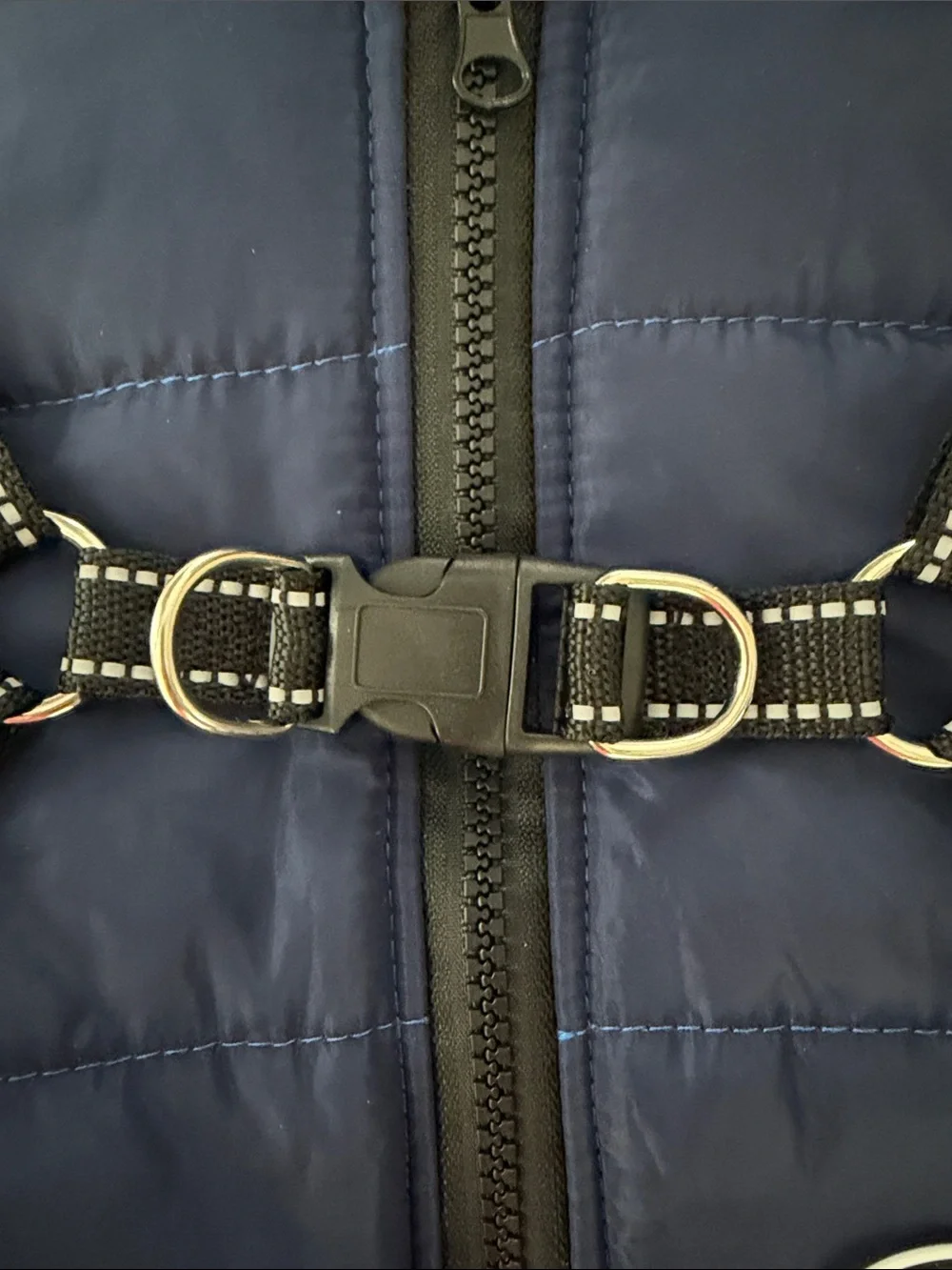 Fashion Sports navy padded